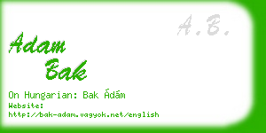 adam bak business card